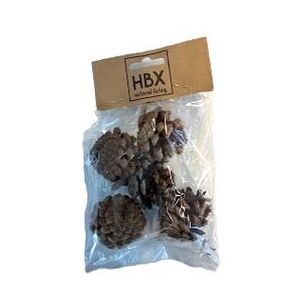 Pinecone o/stem L15 5pcs