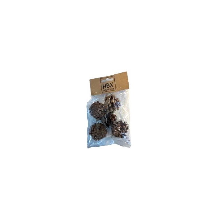 <h4>Pinecone o/stem L15 5pcs</h4>