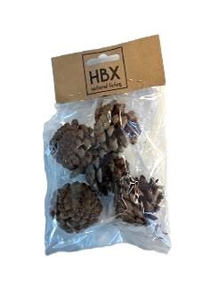 Pinecone o/stem L15 5pcs