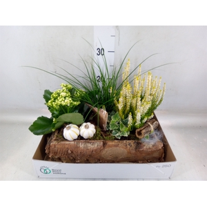 Arr.   Tuinplanten L%