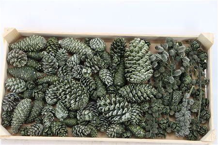 <h4>PINECONE MIX WAX OLIVE GREEN</h4>