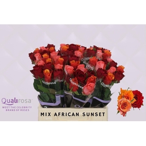 R Gr Mix African Sunset