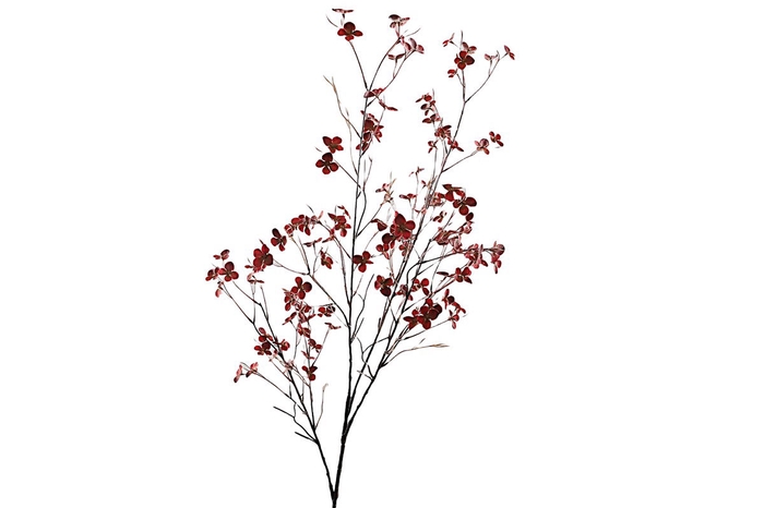 <h4>Blossom Spray Red</h4>