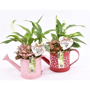 Zink gieter hart decor 24x10cm