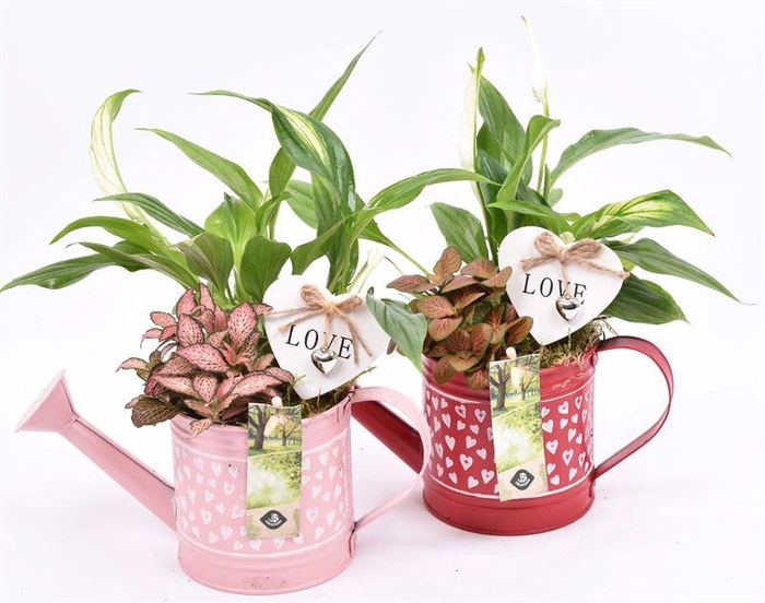 <h4>Zink gieter hart decor 24x10cm</h4>