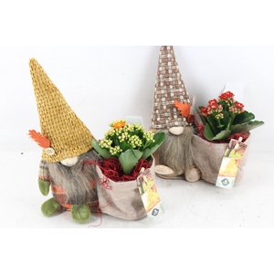 Arr2 Js - Gnome Herfst Mix X4