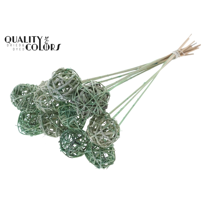 <h4>Bruce Ball 5cm on stem Frosted Mint Green</h4>