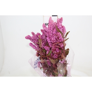 CAMARAO ROSA 050 CM