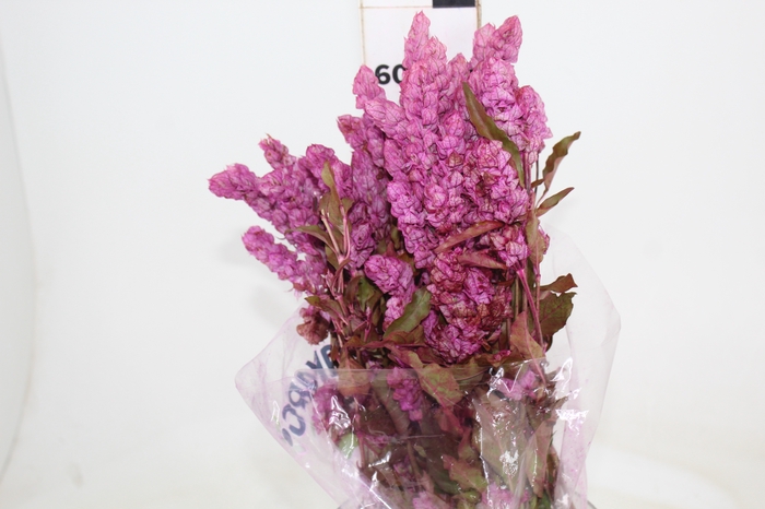 <h4>CAMARAO ROSA 050 CM</h4>
