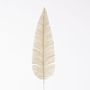AF Fern Dried L71cm Cream