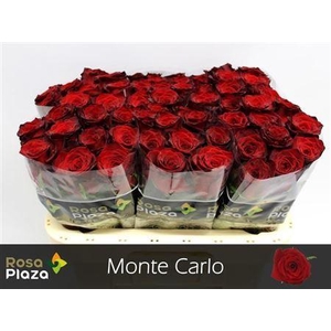 R Gr Monte Carlo