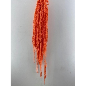 Pres Amaranthus Caud Salmon Bunch