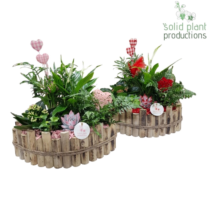 <h4>HVSCE006 Napoli Large Red/Pink Mix</h4>