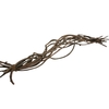Bundle Crazy Vine 10 Pcs L60