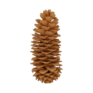 Deco Pinecone Sugar Cinnamon Slv L35