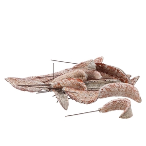 Pick Nature Estrella Whitewash P/50