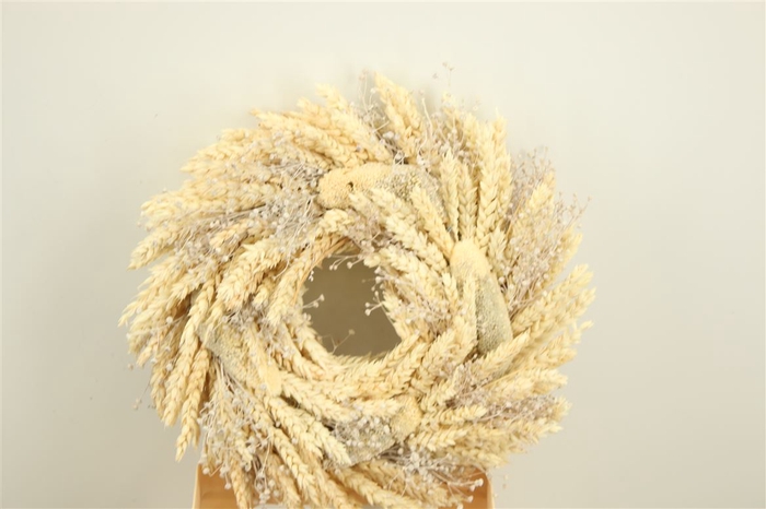 Wr Dried Couronne 30cm