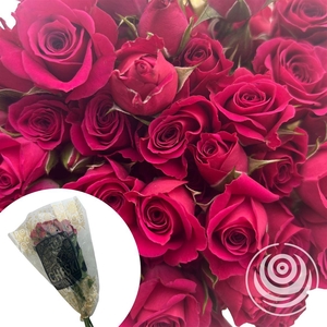 R Eq Spray Lovely Lydia