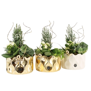 61628: X-mas arrangement