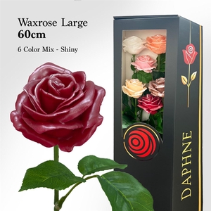Wax Rose L 6 Shine Mix 60cm