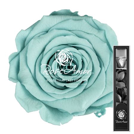<h4>30cm Stem Blu02</h4>