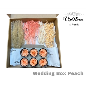 Dried Weddingbox Peach