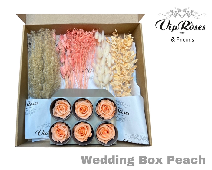 Dried Weddingbox Peach