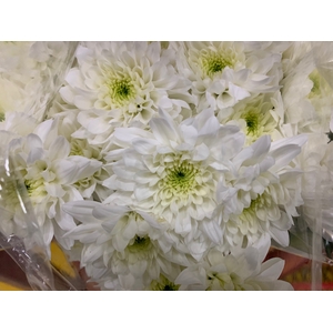 Chr Spray White Cristallo