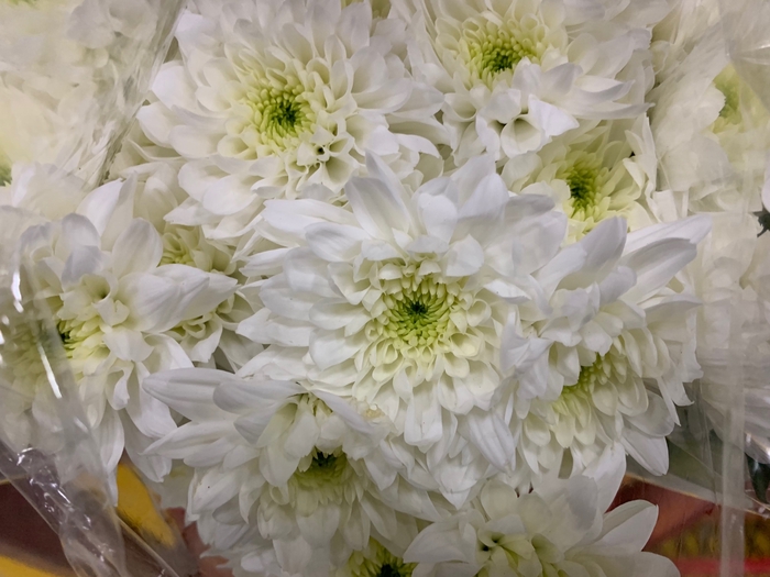 Chr Spray White Cristallo
