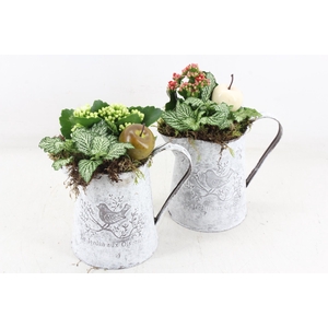 arr2 TD - Zink kan - rood/wit