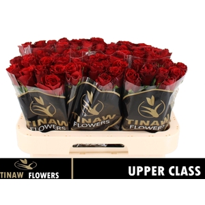 R GR UPPER CLASS