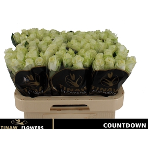 R GR COUNTDOWN!