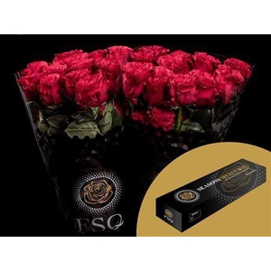 R Gr Exotix Berry Box