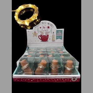 .DIV LED STRING INCLU.BATTERIJ