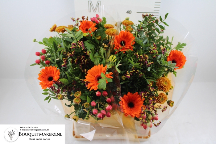 <h4>GEM BOEKET OV</h4>