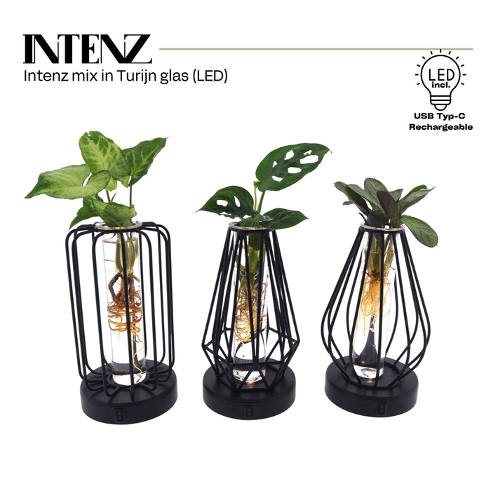 <h4>Mix in Turijn glas + led - levertijd: 24 uur</h4>