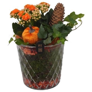 PTHG8282 Arrangement Autumn Glass in glazen vaas