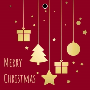 Kaart 7*7cm x20 MerryChristmas