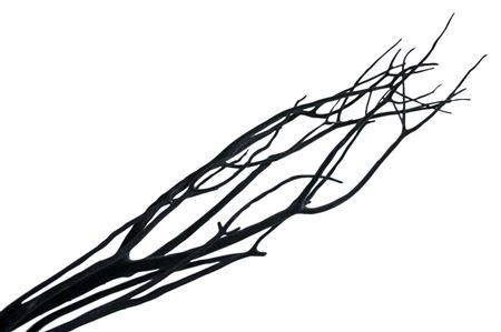 <h4>MITSUMATA FLAKED BLACK 3PC P BUNCH</h4>