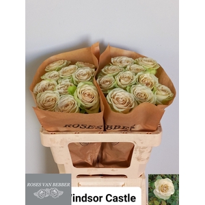R Gr Windsor Castle Bebber