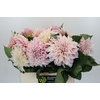 Dahlia Cafe Au Lait