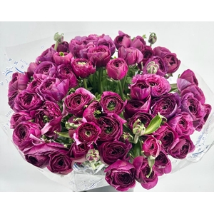 Ranunculus Clooney Sherry Super