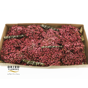 Dried Pepper Berries Natural