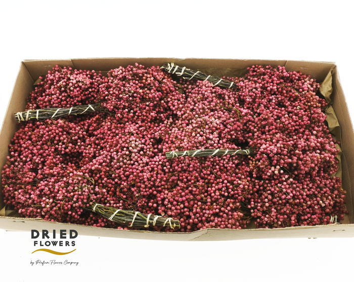 Dried Pepper Berries Natural