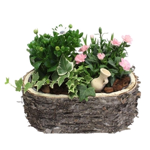 4084  SCHORS OVAAL DIANT