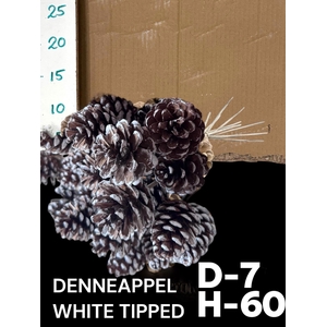 DENNENAPP OP STOK H%