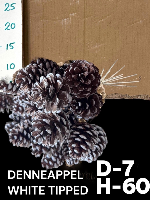 <h4>DENNENAPP OP STOK H%</h4>