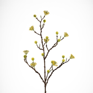 AF Edgeworthia Spr L98cm Yello