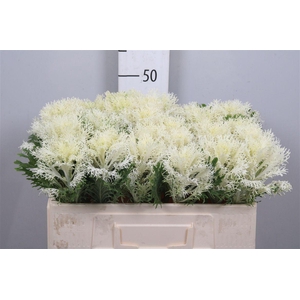 Brass Crane Fea Snow