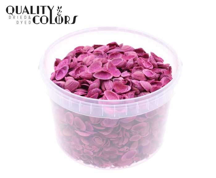 Shells north sea 3 ltr Cerise